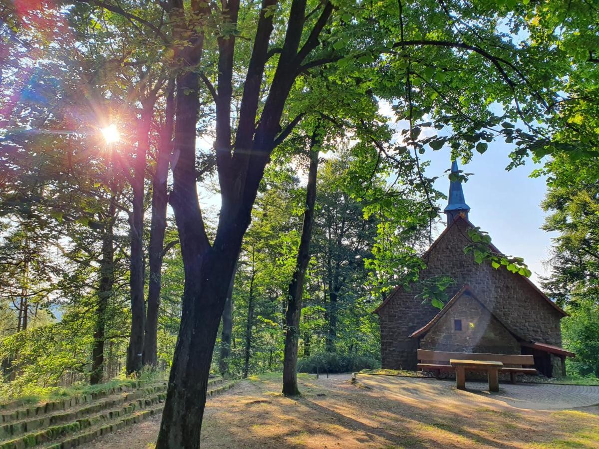 Odenwald-Lodge Mit Infrarotsauna Und E-Ladestation Im Naturpark Odenwald "Haus Himmelblau" Reichelsheim Exterior foto