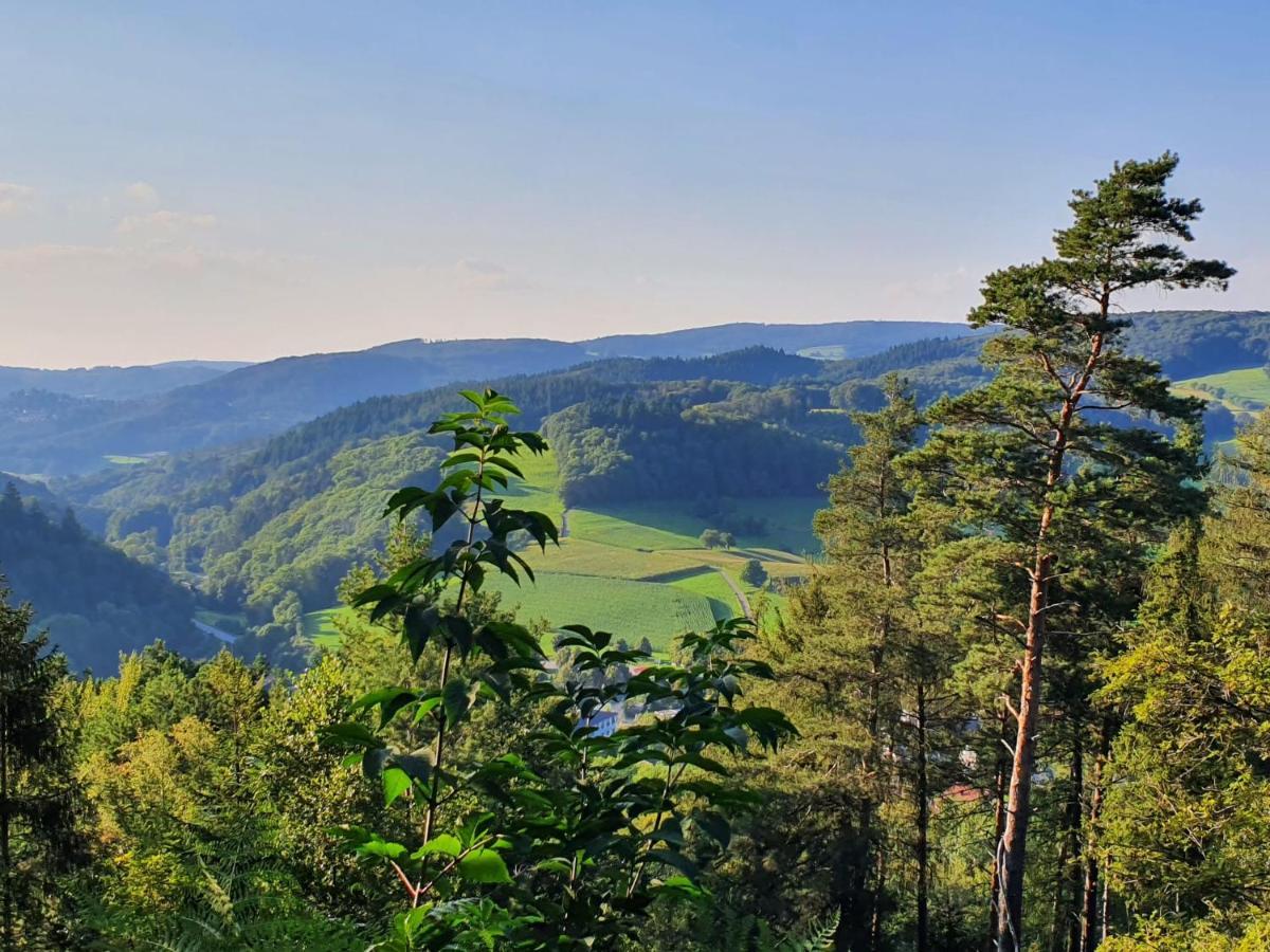 Odenwald-Lodge Mit Infrarotsauna Und E-Ladestation Im Naturpark Odenwald "Haus Himmelblau" Reichelsheim Exterior foto