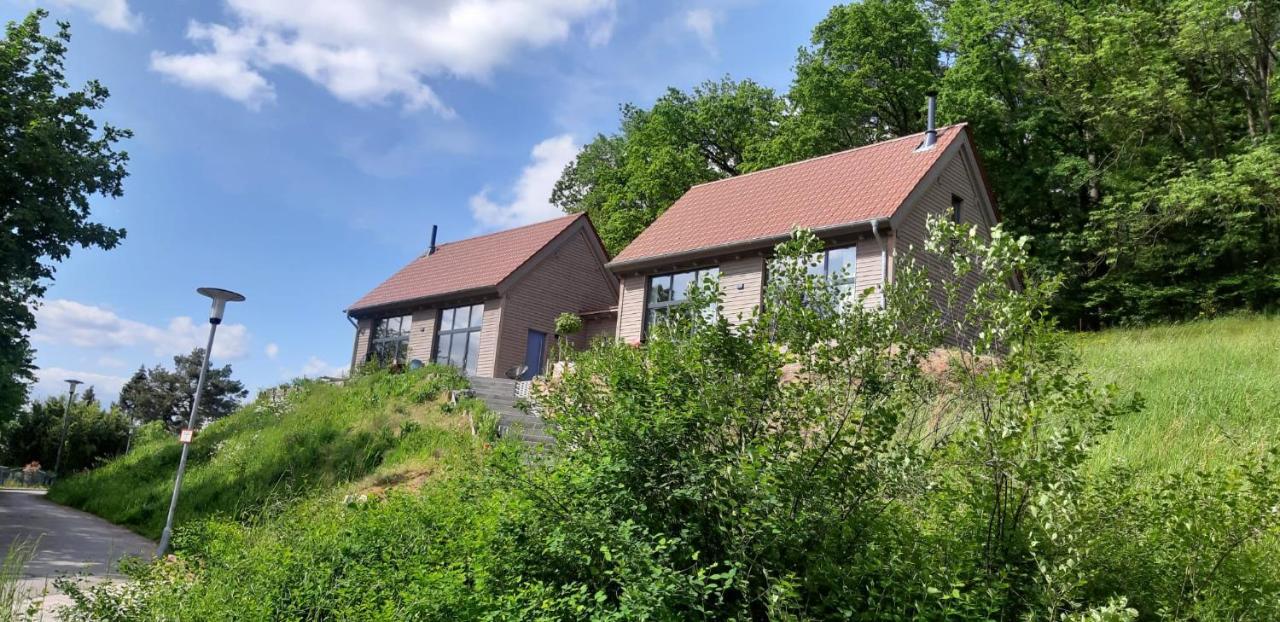 Odenwald-Lodge Mit Infrarotsauna Und E-Ladestation Im Naturpark Odenwald "Haus Himmelblau" Reichelsheim Exterior foto